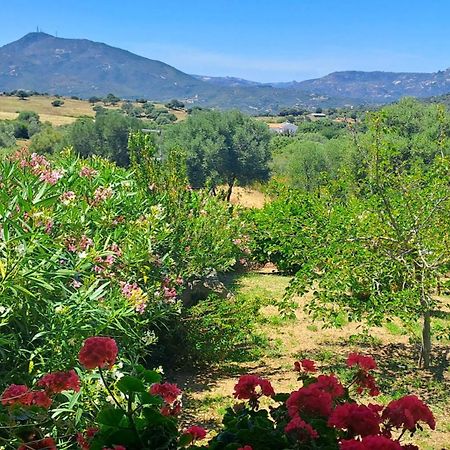 Vila Casa Sole Rudalza Pokoj fotografie