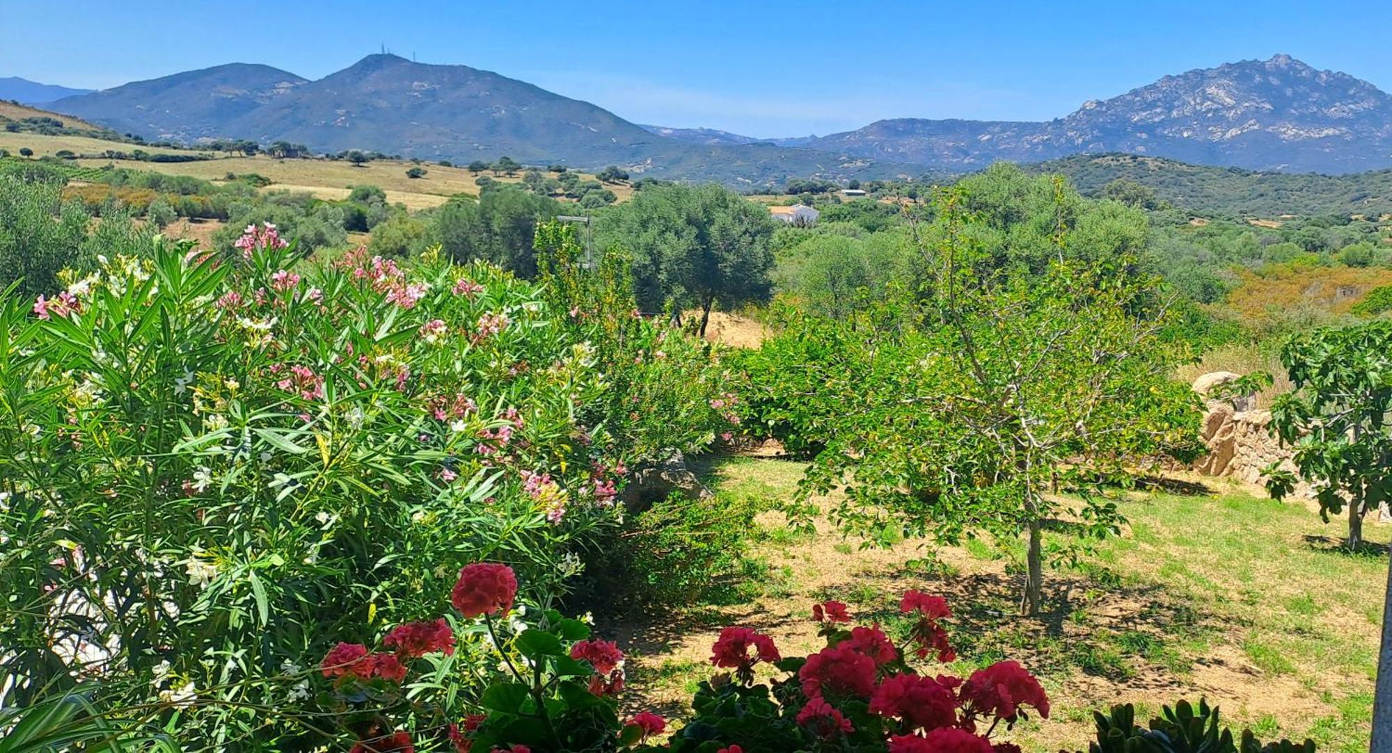 Vila Casa Sole Rudalza Pokoj fotografie